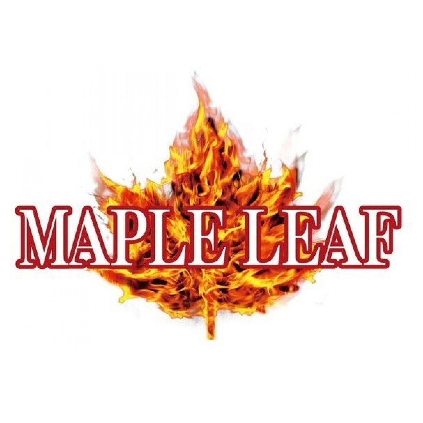 Maple leaf